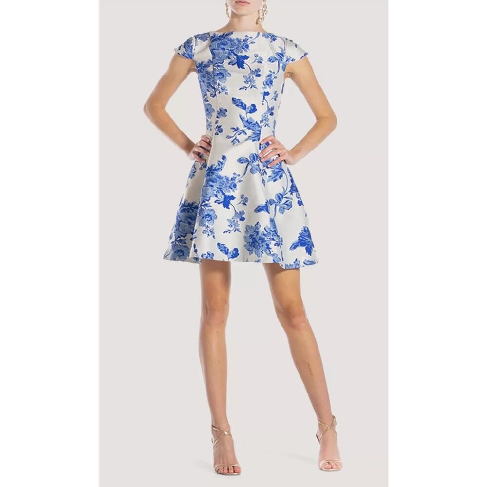 Floral Blue and White Mini Dress